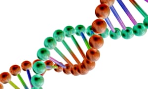 DNA molecule can be used to create molecular recorders.