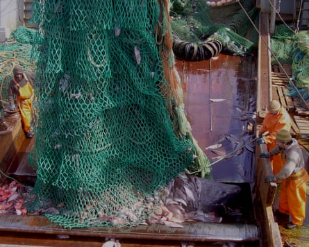 Three men in orange waterproof clothing watch as a net disgorges fish including a large shark on to the deck of a trawler