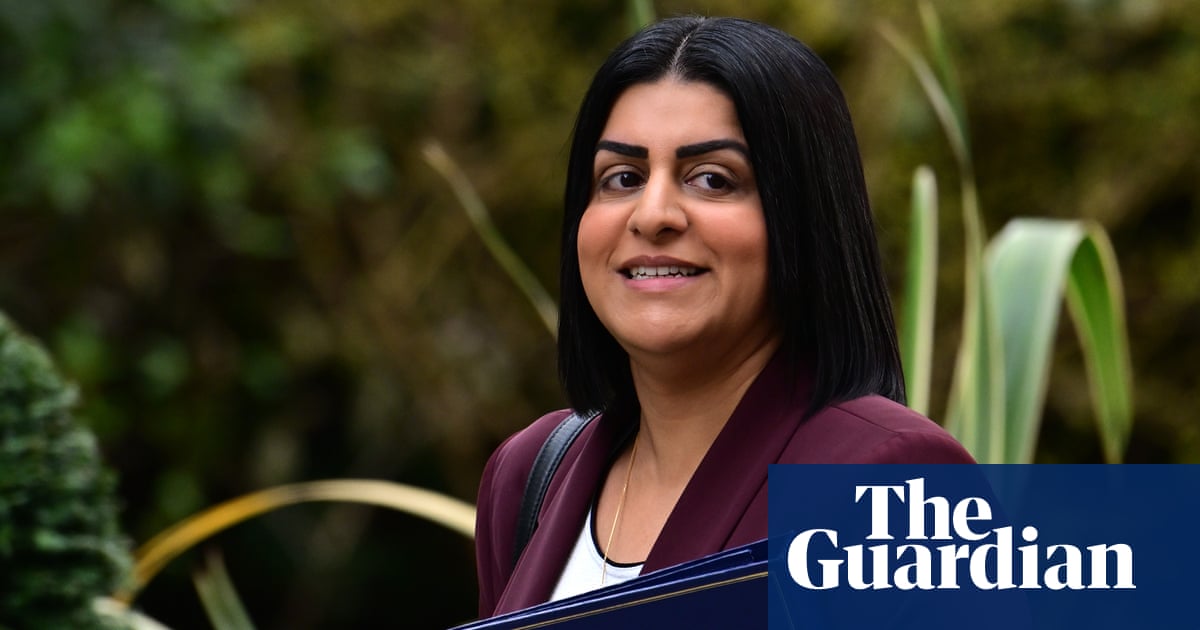 Shabana Mahmood warned of risk to pregnant women in halting Sentencing Council guidelines