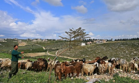 A Lebanese shepherd walking with his goats in Sidiqin in 2007