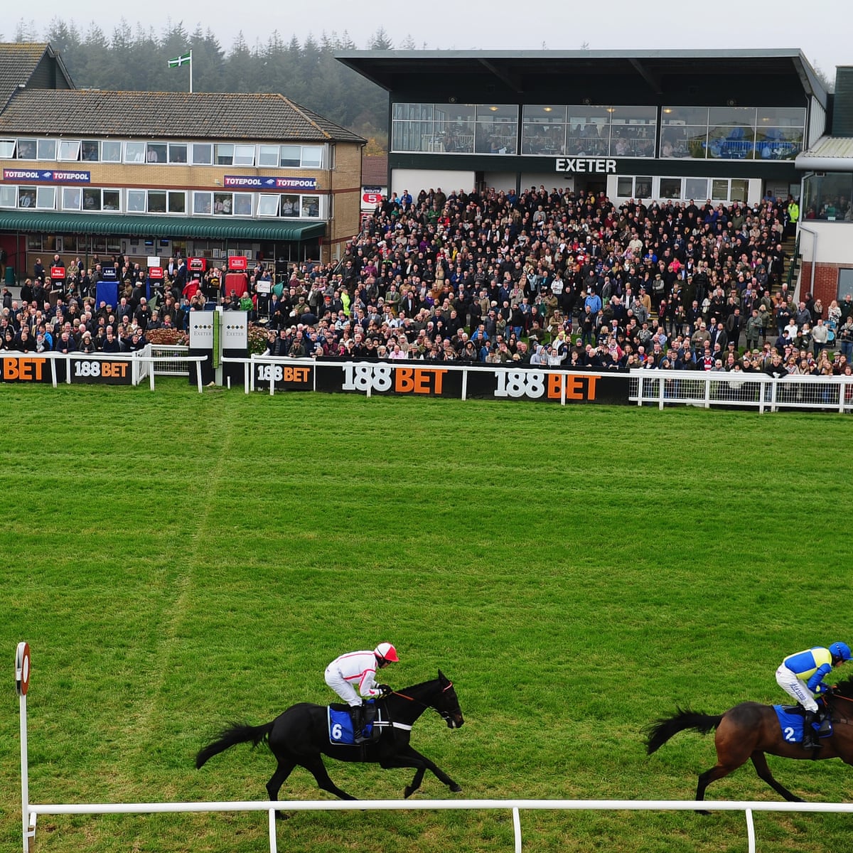 Horse Racing Tips Sunday 20 November Horse Racing Tips The Guardian