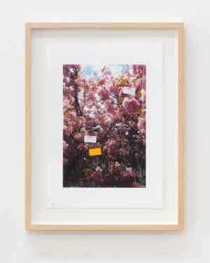Nicholas Cheveldave, Untitled