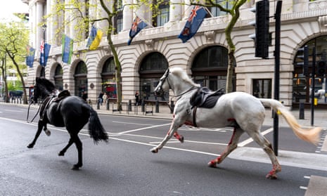 Two horses bolting through Aldwych, London