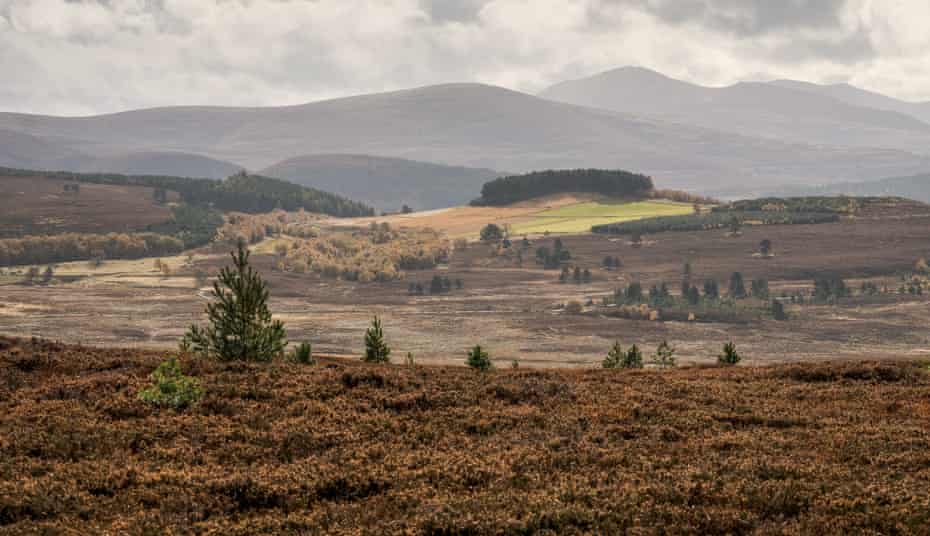 The Cairngorms, Scotland