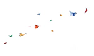 Get Ensenyar sprueche sexe For iPhone Free Ensenyar Sprueche Sexe