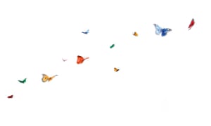 a trail of fluttering butterflies