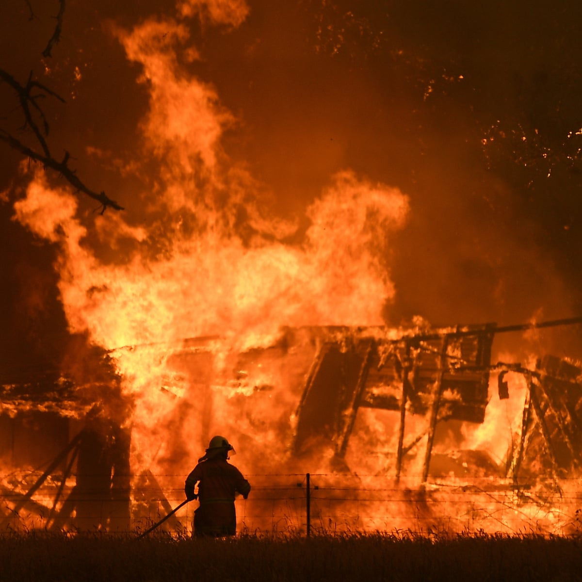 Australia Bushfires New Estimate Suggests One Billion Animals Have Perished Nationwide Technology News Firstpost