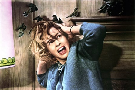 Requiring recovery … Hedren in the infamous attic scene in The Birds.