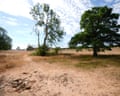 Dried ground near the traditional source of the River Thames, known as Thames Head, a group of seasonal springs near to the village of Coates in the Cotswolds, pictured on 14 August