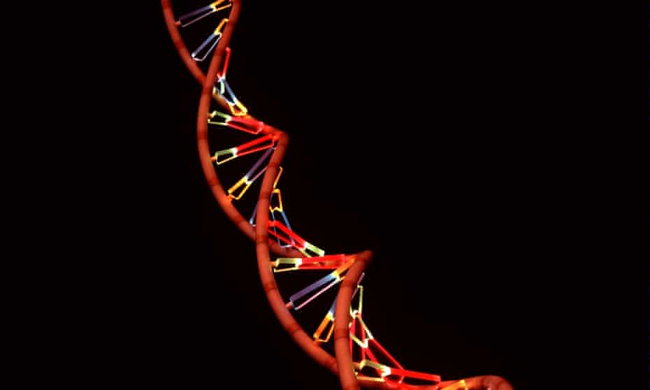 Work at the Weatherall Institute of Molecular Medicine in Oxford has linked cachexia to DNA damage.