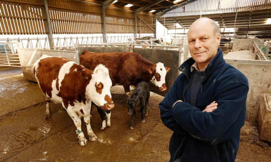 David Finlay, of Cream o’ Galloway at Rainton Farm, watches his cattle rearing their own calves instead of being separated at birth.
