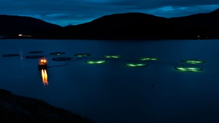 A salmon farm at Cairidh on the Isle of Skye with round circles of light floating on the loch