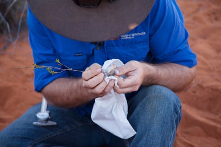 Bush Heritage ecologist Ben Parkhurst holding a native mouse