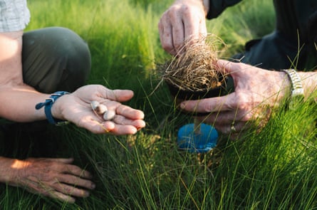 Two people crouch in the grass. One holds a nest, the other a clutch of eggs.