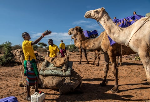 Chat health workers with camels