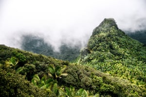 The El Yunque national forest