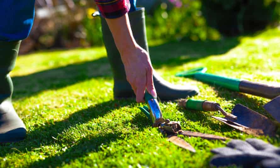 Clean your tools this month to keep them in prime condition.