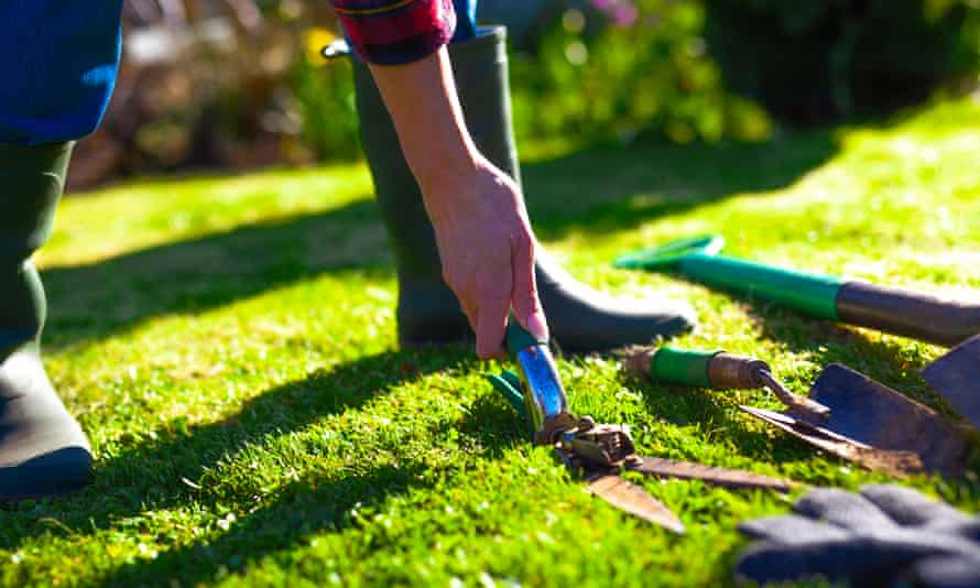 Clean your tools this month to keep them in prime condition. 