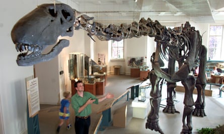 Curator Cuts At Leicester Museums Criticised As Disastrous Museums The Guardian