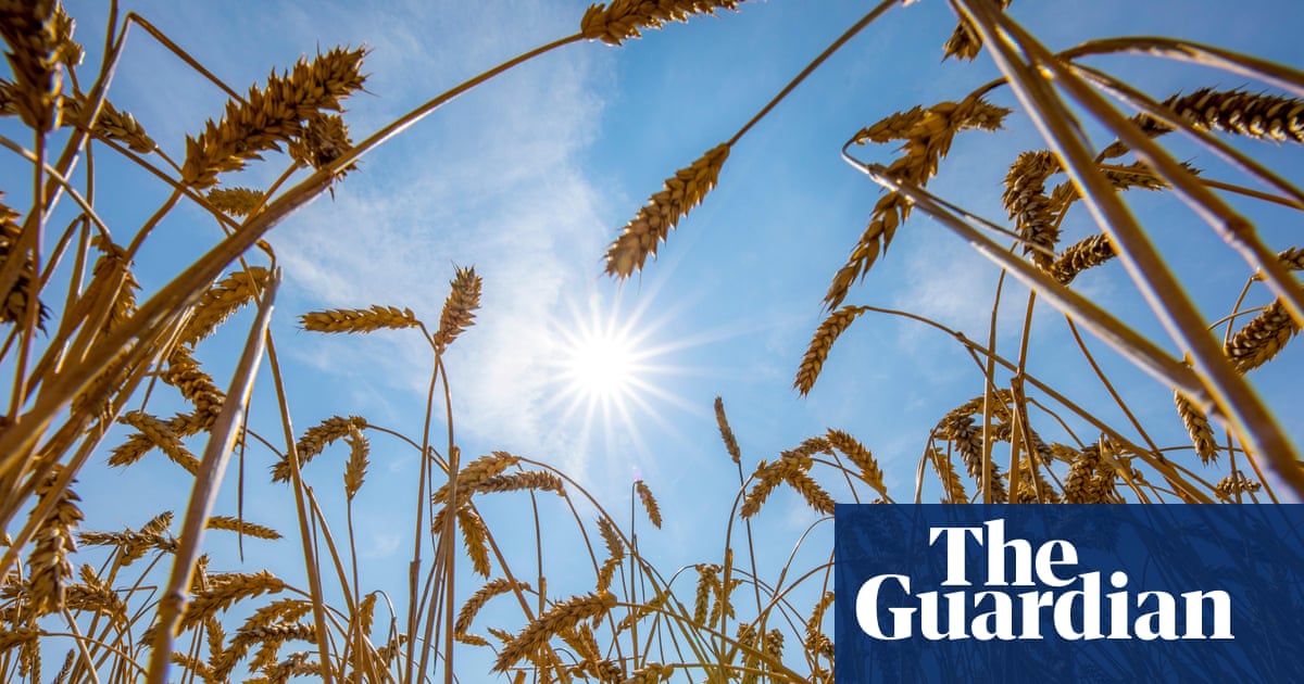 World food systems ‘pushed to the brink’ by extreme heat, UN warns