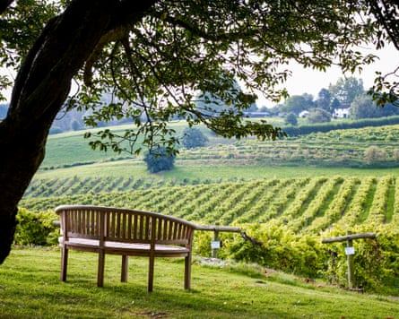 Three Choirs Vineyards, Gloucestershire