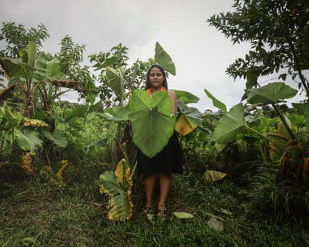 An Inga woman standing in a clearing holds a large leaf in front of her