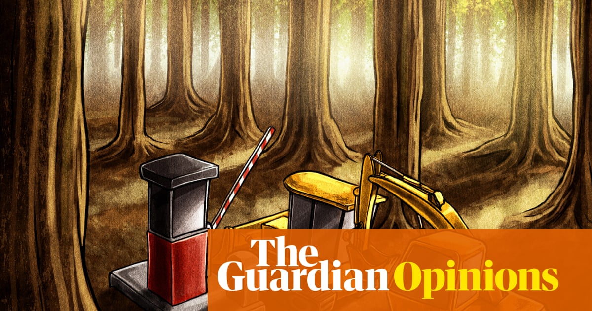 Labour's great nature sellout is the worst attack on England's ecosystems I've seen in my lifetime | George Monbiot