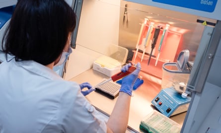 DNA tests being performed on human remains in Dnipro.