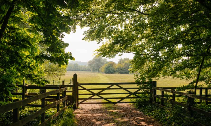 The Test Way runs across water meadows towards Mottisfont Abbey.