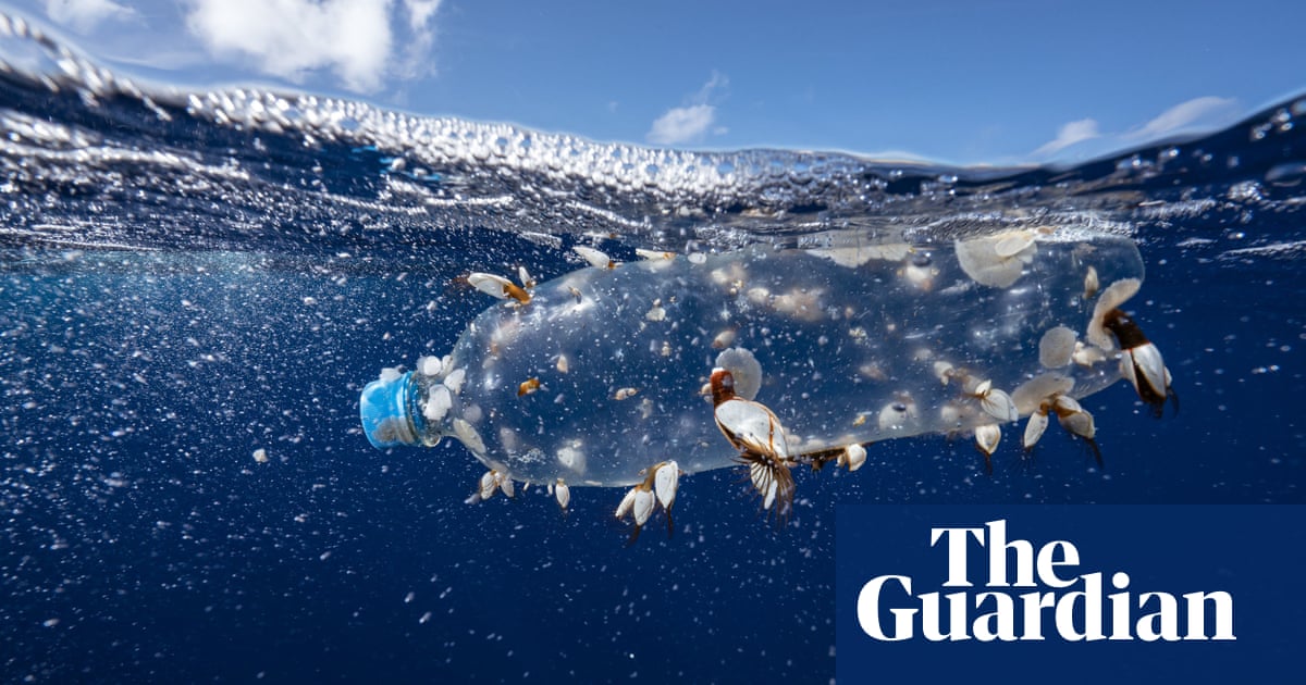 First steps agreed on plastics treaty after breakthrough at Paris talks