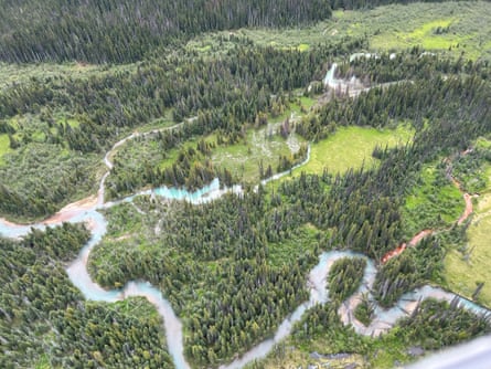 Aerial view of a windy creek through a green forest