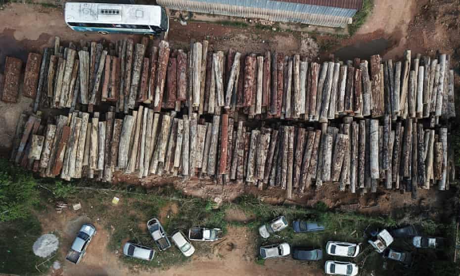 An aerial view shows logs that were illegally cut from the Amazon rainforest in Anapu, Para state, Brazil, in 2019.