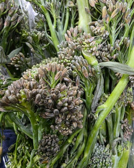 Sunburnt tenderstem broccoli