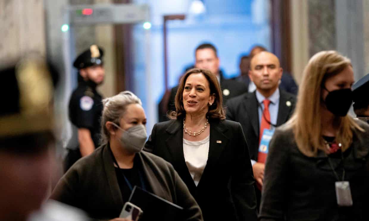 Build Back Better II! Senate passes $739bn healthcare and climate bill after months of wrangling (theguardian.com)