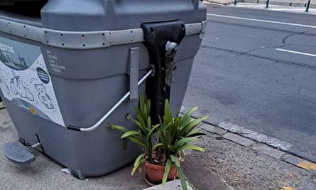 planta de interior junto a un contenedor grande en la acera