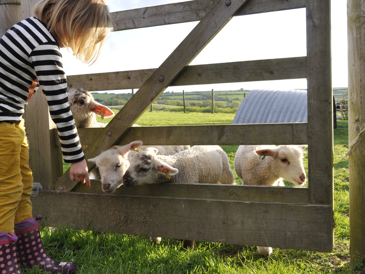 Top 10 Family Farmstay Holidays In The Uk Family Holidays The Guardian Top 10 Family Farmstay Holidays In The Uk Family Holidays The Guardian