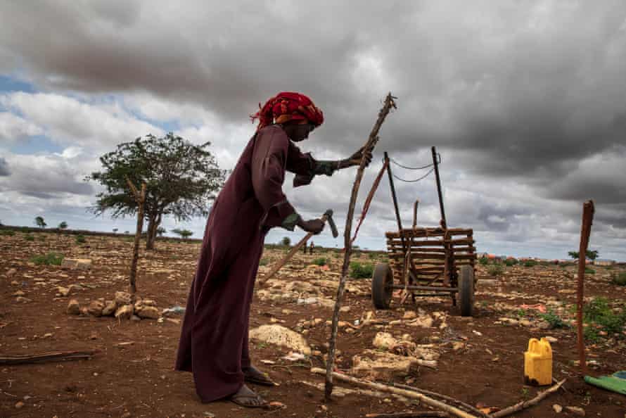 Cutting wood to use with making a shelter