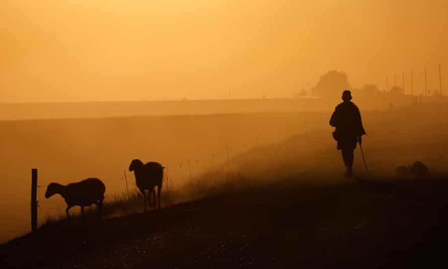 Grassland in RussiaGrassland in Russia
