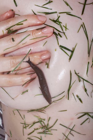 Slug, 2015
