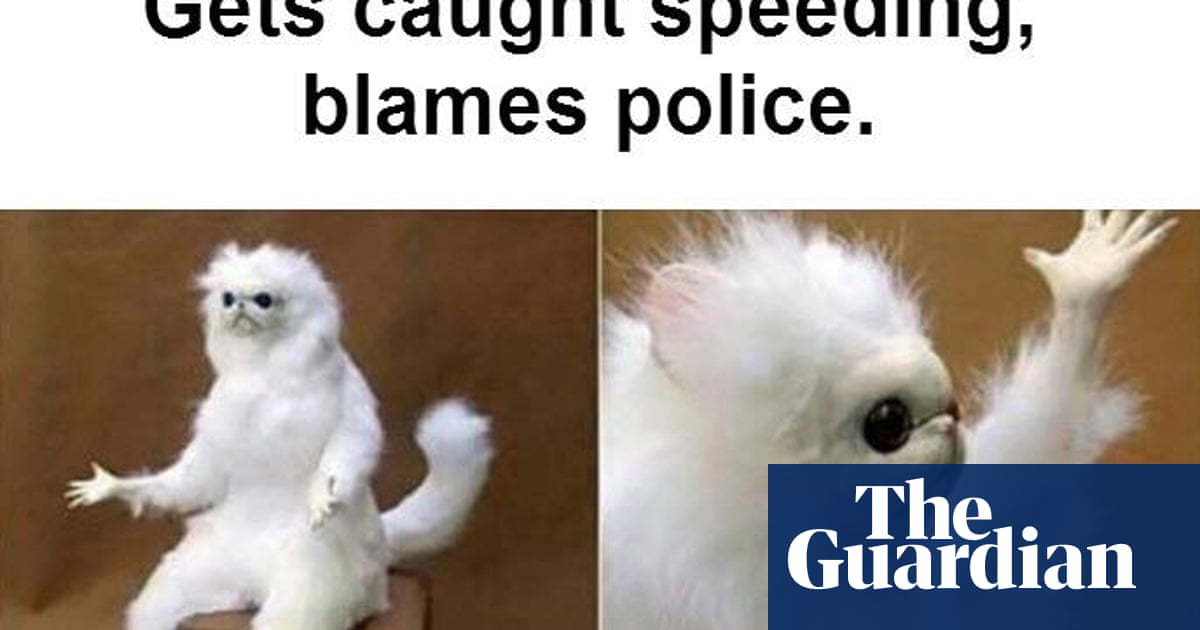 Tag A Mate Who Loves Pineapple On Their Pizza How Australian Police Bought Into Meme Culture Australian Police And Policing The Guardian Tag A Mate Who Loves Pineapple On Their Pizza How Australian Police Bought Into Meme Culture Australian Police And Policing The Guardian