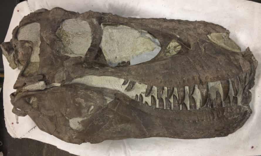 Meet Tyrannosaur's Skull near Rainbows and Unicorns Quarry in 2019.