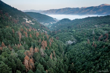 A view of a forested valley going down to the sea.