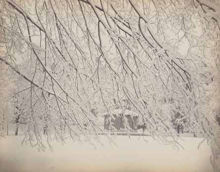black and white photo of snowy trees in a park