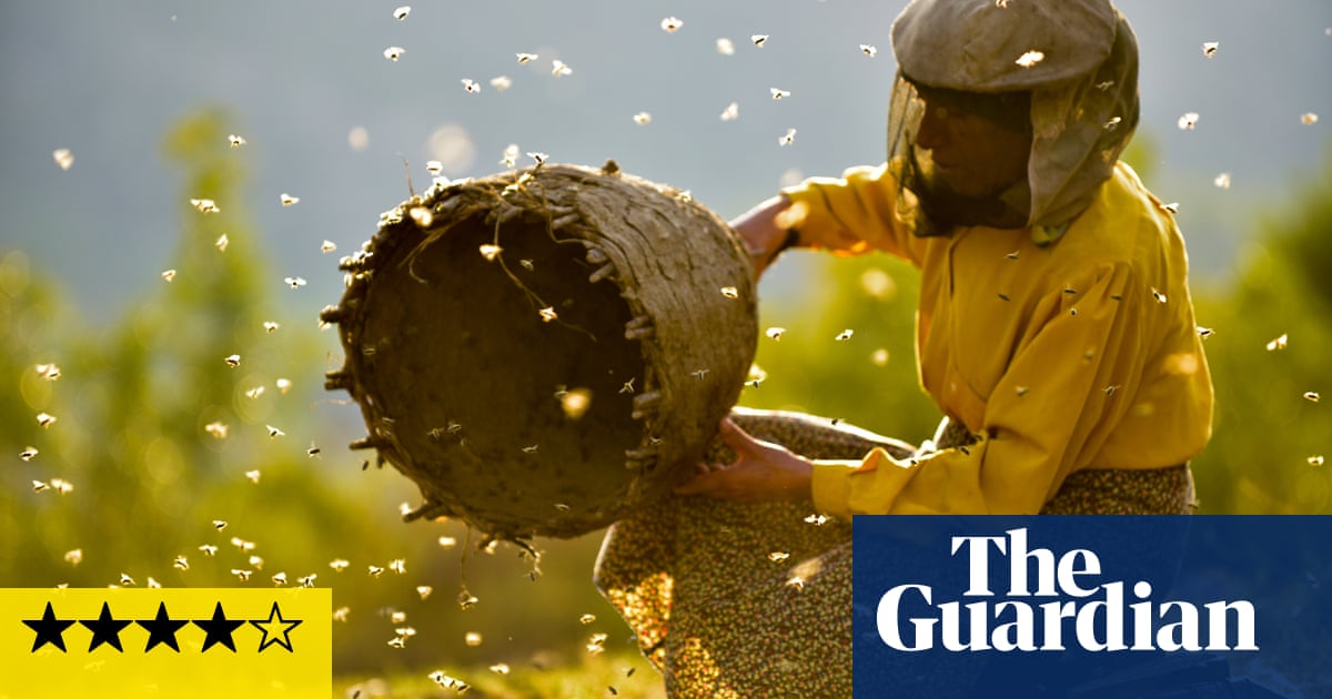 Honeyland review – beekeepers life with a sting in the tale