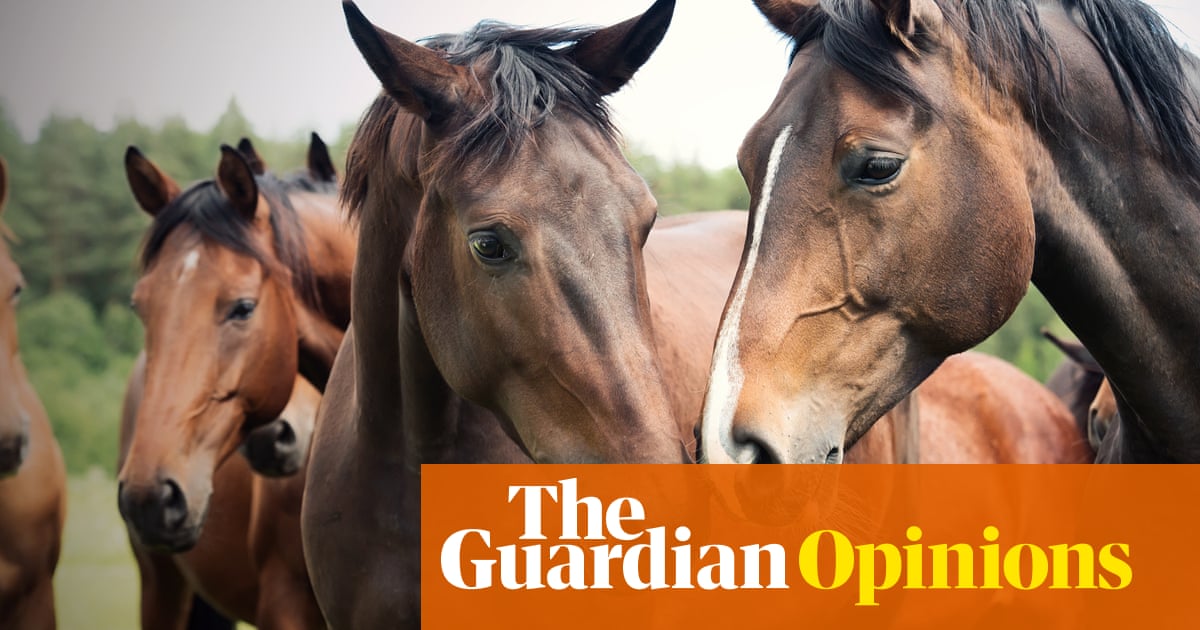 A human is not a horse. So why is a livestock drug sweeping America? | Arwa Mahdawi