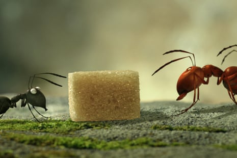 Wonderful … Minuscule: Valley of the Lost Ants