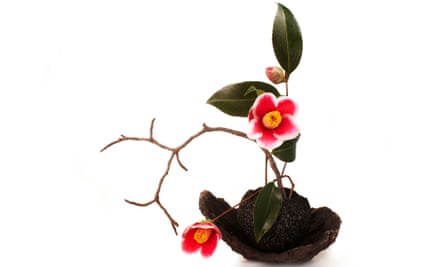 Ikebana with camellia flowers on a white background