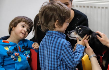 A child pets a utility dog in Bucharest, Romania