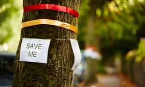 (
Sheffield tree activists vow to protect 'jewel in the crown'
)