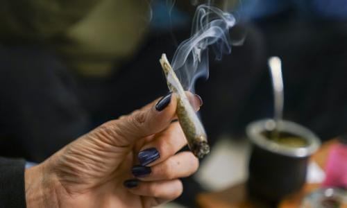 Smoking Cannabis Every Day Shrinks Brain But Increases Its Connectivity Cannabis The Guardian Smoking Cannabis Every Day Shrinks Brain But Increases Its Connectivity Cannabis The Guardian